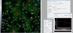 Molecular Devices MetaMorph with pco.edge