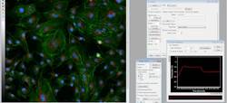 Molecular Devices MetaMorph with pco.edge