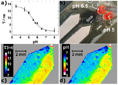 FLIM imaging of pH with the planar optode based on PhOHCl2-DAOTA in D4