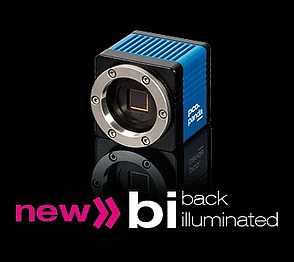 pco.panda news scmos back illuminated