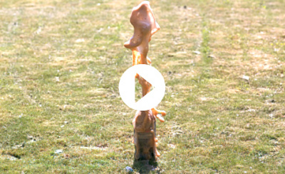 pco.dimax highspeed gallery: Mentos in Coke (2.)