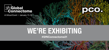 SfN Global Connectome Banner